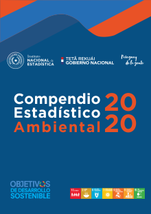 COMPENDIO ESTADÍSTICO AMBIENTAL 2020