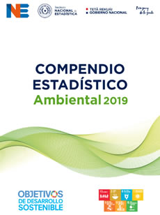 COMPENDIO ESTADÍSTICO AMBIENTAL 2019